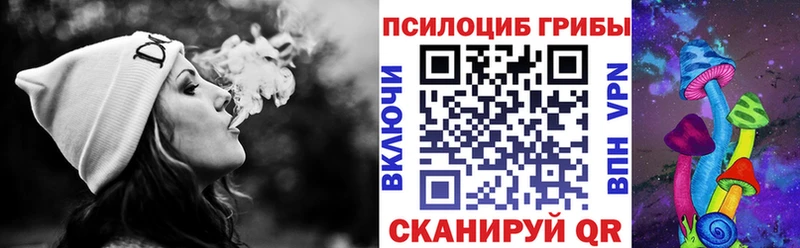 купить  цена  Старый Крым  blacksprut   Псилоцибиновые грибы Psilocybine cubensis 